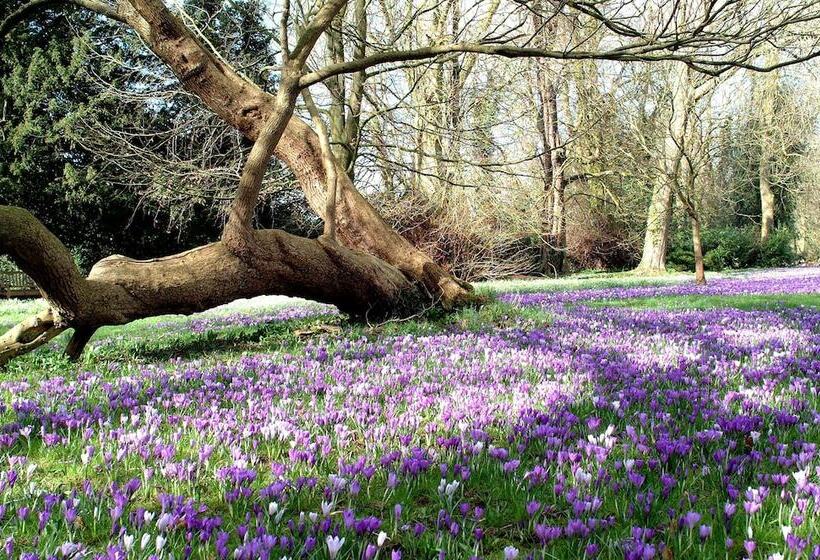 Отель Three Ways House