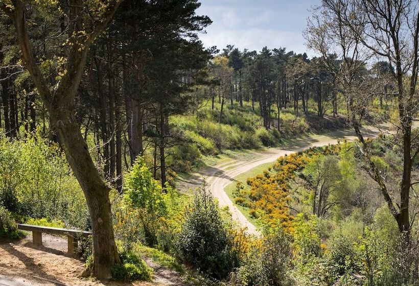 Voco Lythe Hill Hotel & Spa, An Ihg