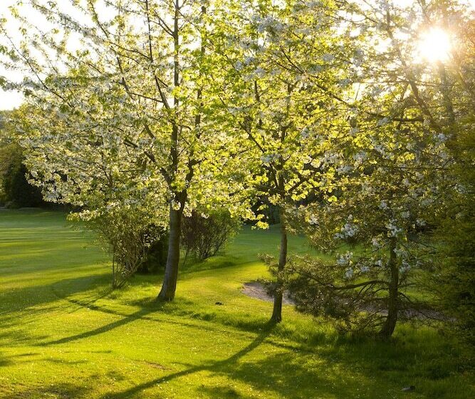 St. Pierre Park Hotel & Golf