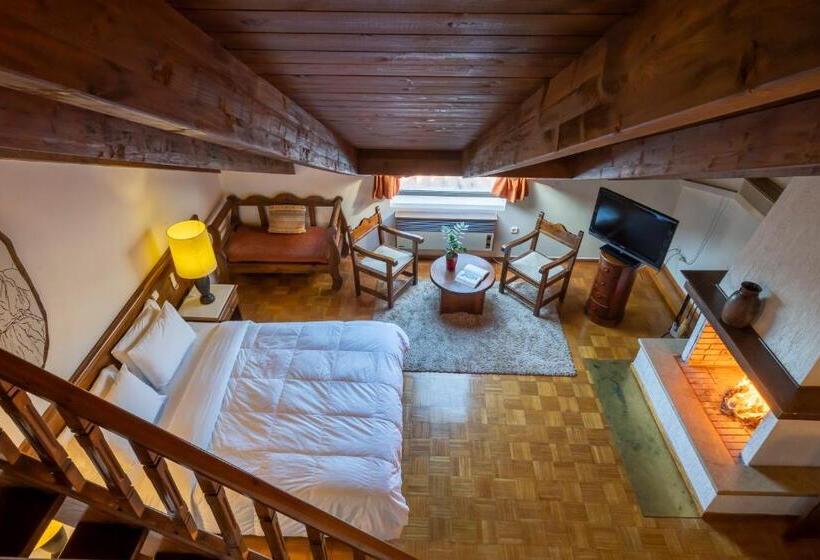 Domotel Anemolia Mountain Resort