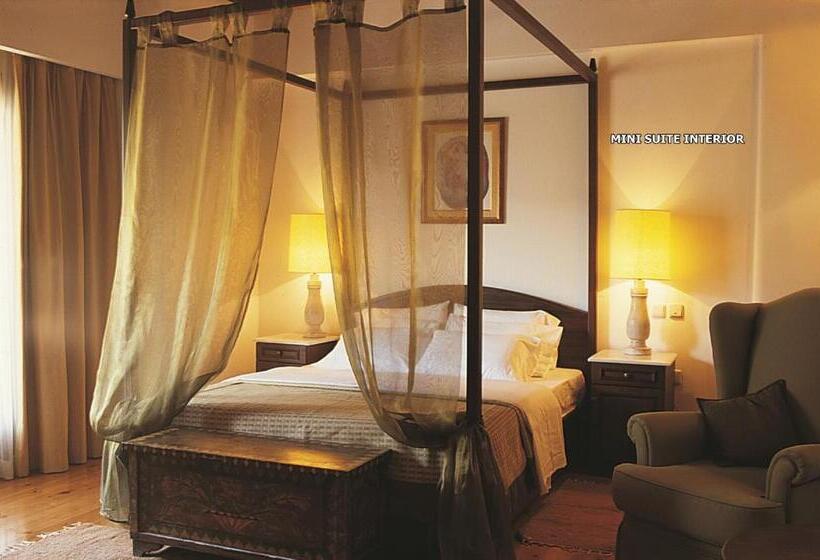 Domotel Anemolia Mountain Resort