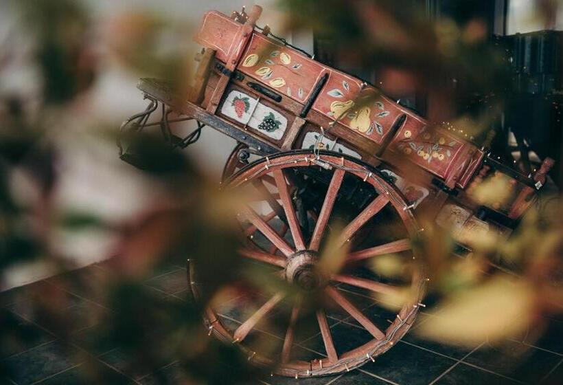 Domotel Anemolia Mountain Resort