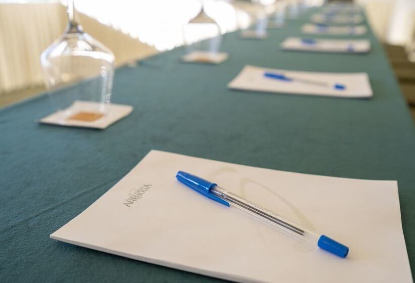 Domotel Anemolia Mountain Resort