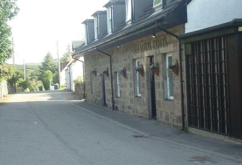 Отель Ben Loyal