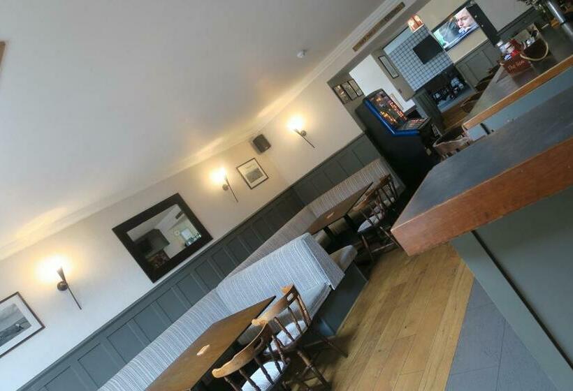 Отель Ben Loyal