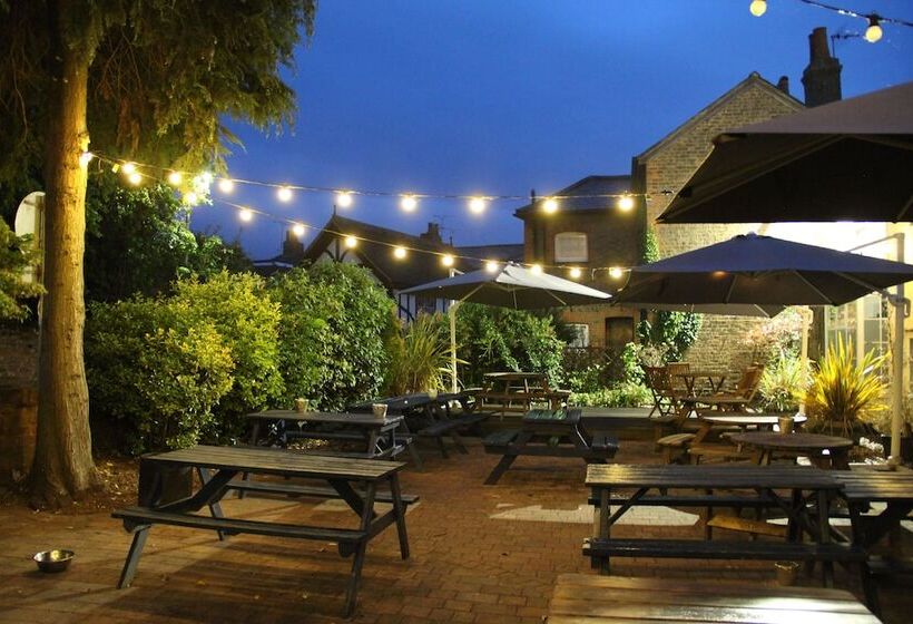 בית מלון כפרי Blue Boar