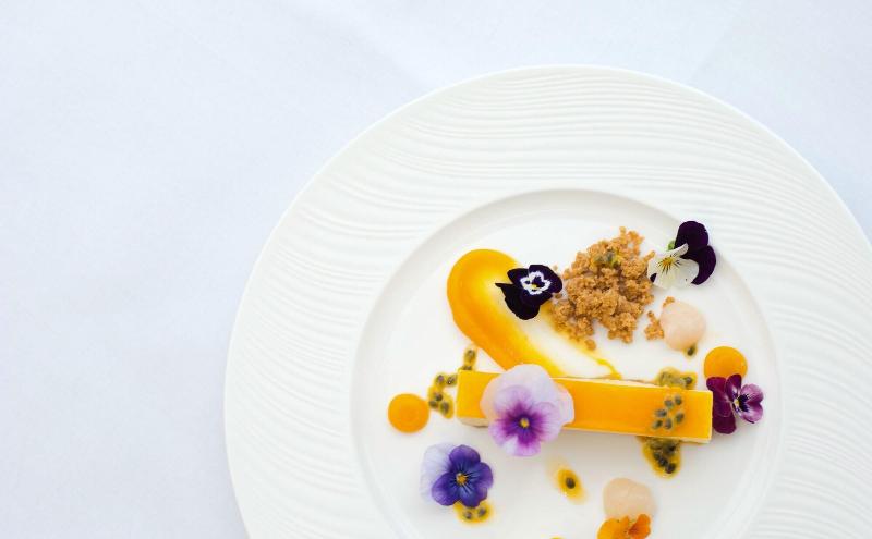 Chewton Glen Hotel   An Iconic Luxury