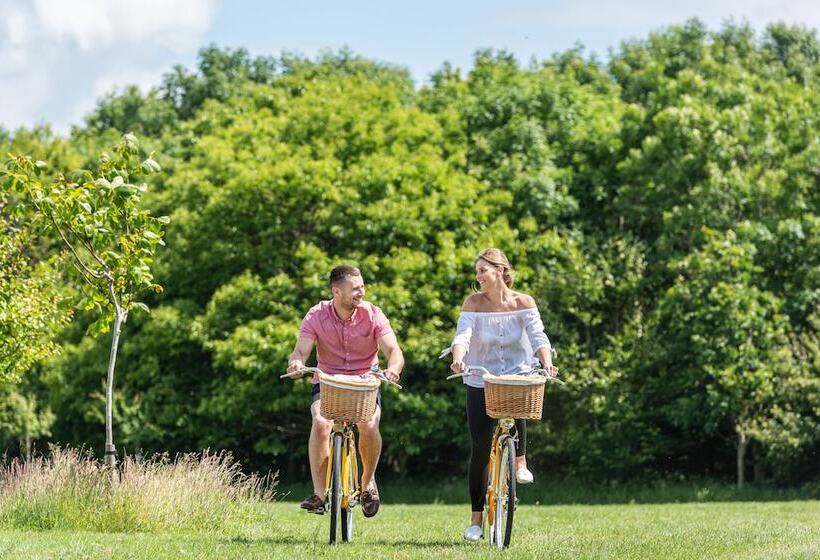 Chewton Glen Hotel   An Iconic Luxury