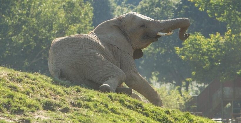 Delta Hotels By Marriott Tudor Park Country Club