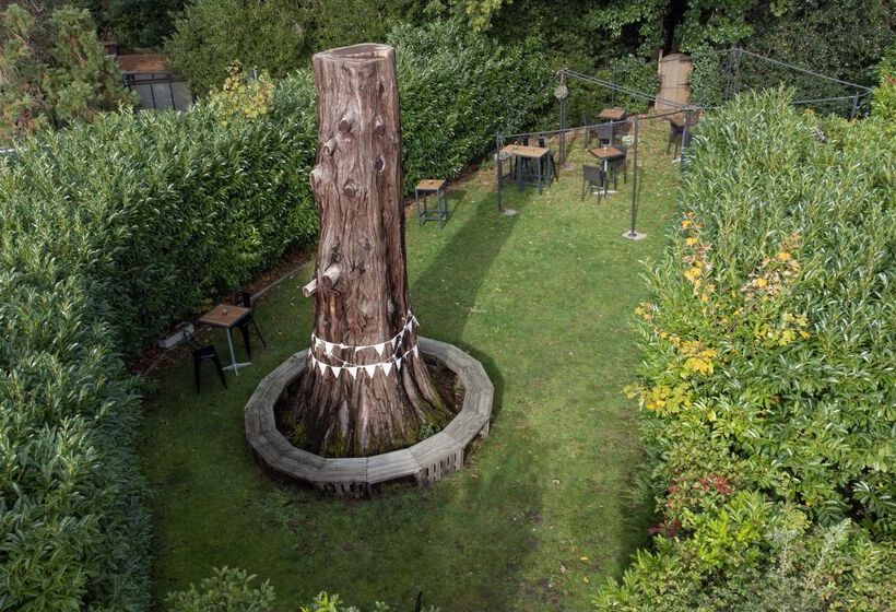 호텔 Doubletree By Hilton St. Anne's Manor