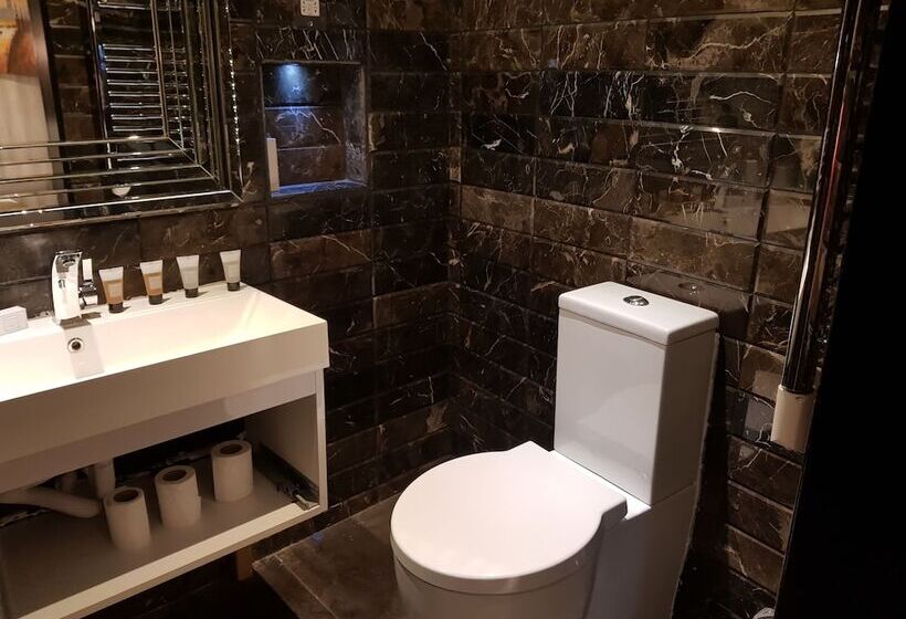 ホテル Duke Of Leinster