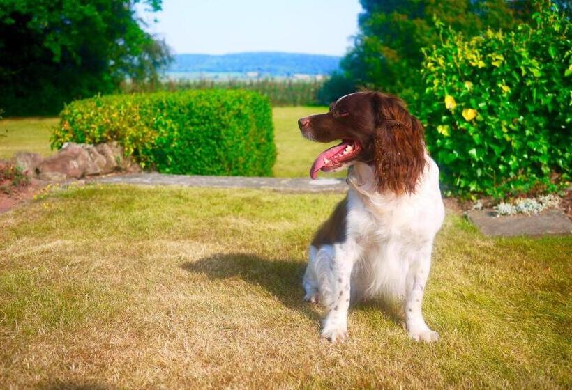 בית מלון כפרי Glewstone Court Country House