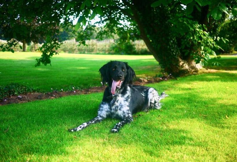 בית מלון כפרי Glewstone Court Country House