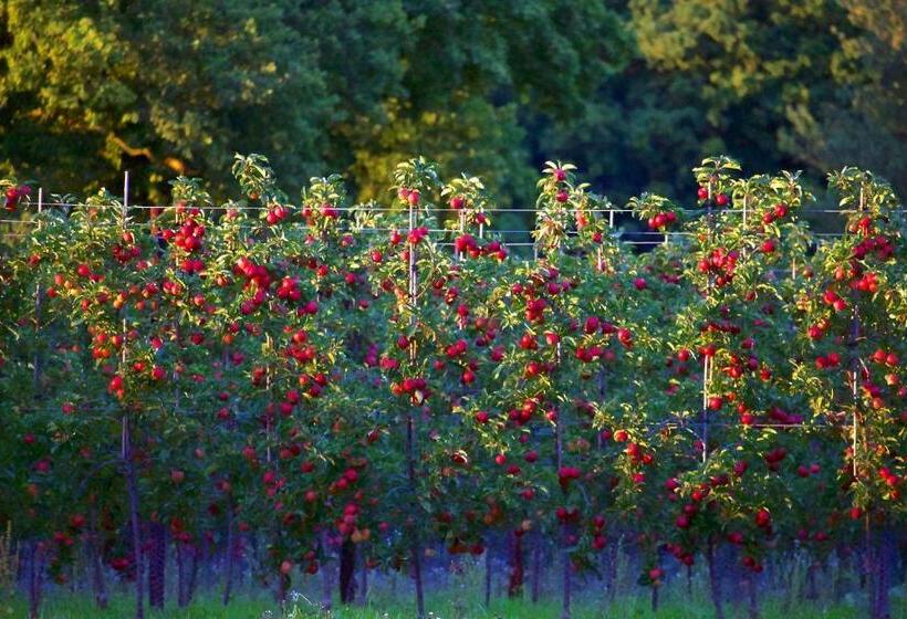 בית מלון כפרי Glewstone Court Country House