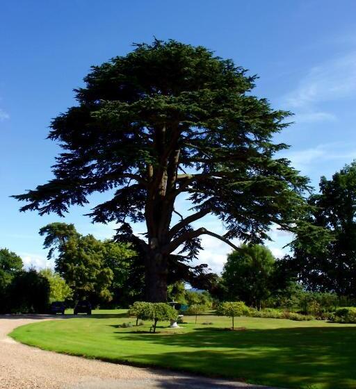 בית מלון כפרי Glewstone Court Country House