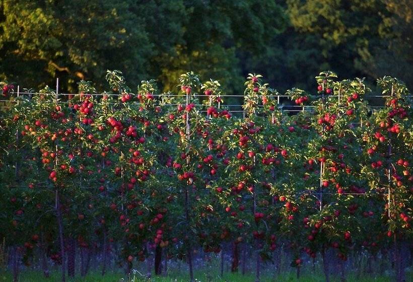 בית מלון כפרי Glewstone Court Country House