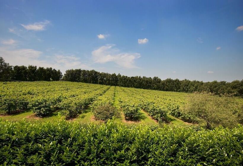 בית מלון כפרי Glewstone Court Country House