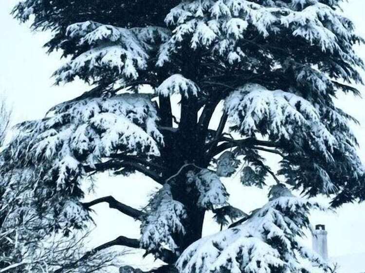 בית מלון כפרי Glewstone Court Country House