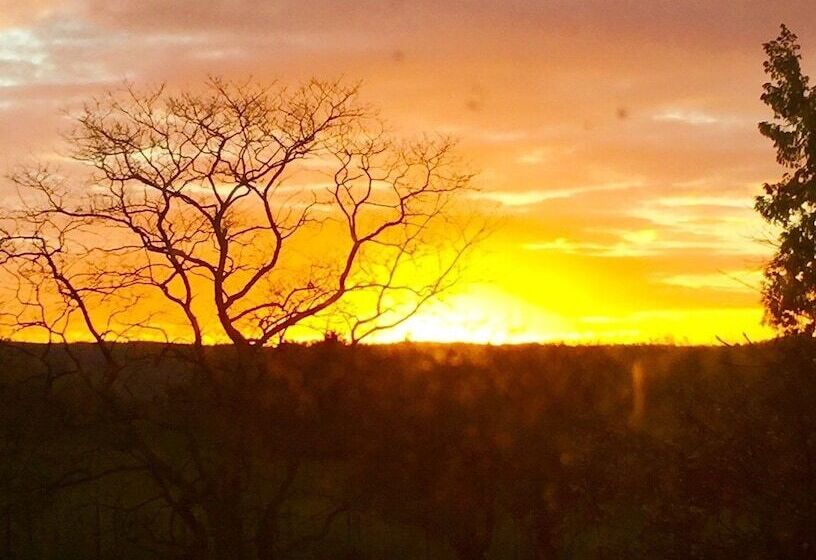 בית מלון כפרי Glewstone Court Country House