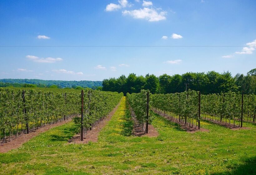 בית מלון כפרי Glewstone Court Country House