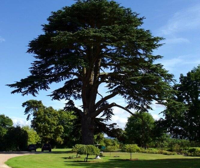 בית מלון כפרי Glewstone Court Country House
