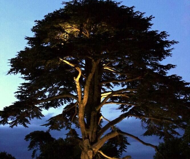 בית מלון כפרי Glewstone Court Country House