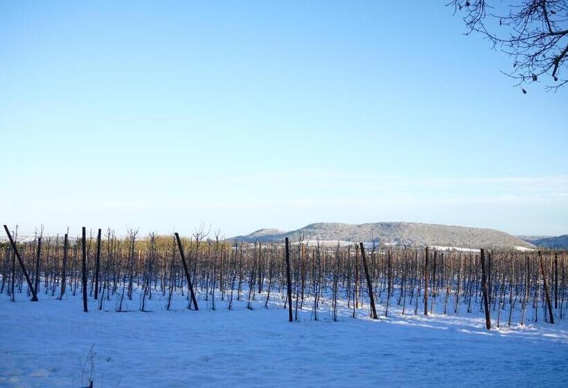 בית מלון כפרי Glewstone Court Country House