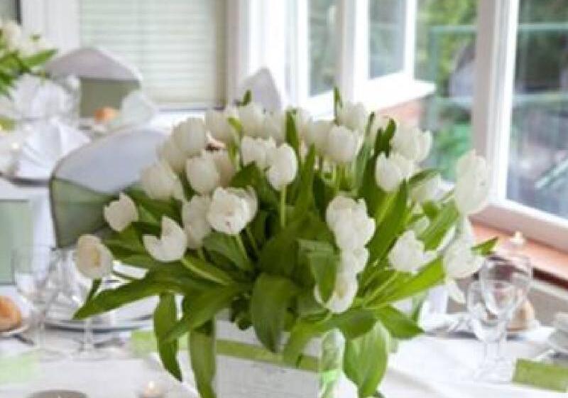 בית מלון כפרי The Riverside