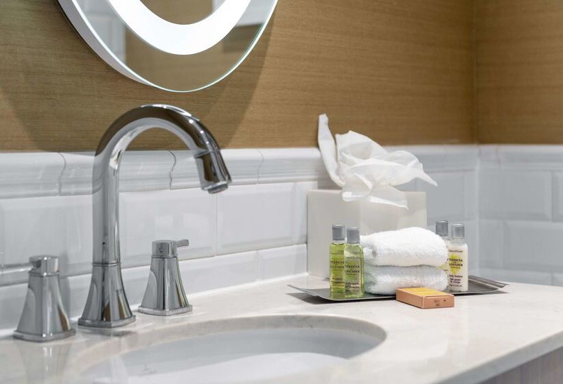 هتل Hilton London Hyde Park