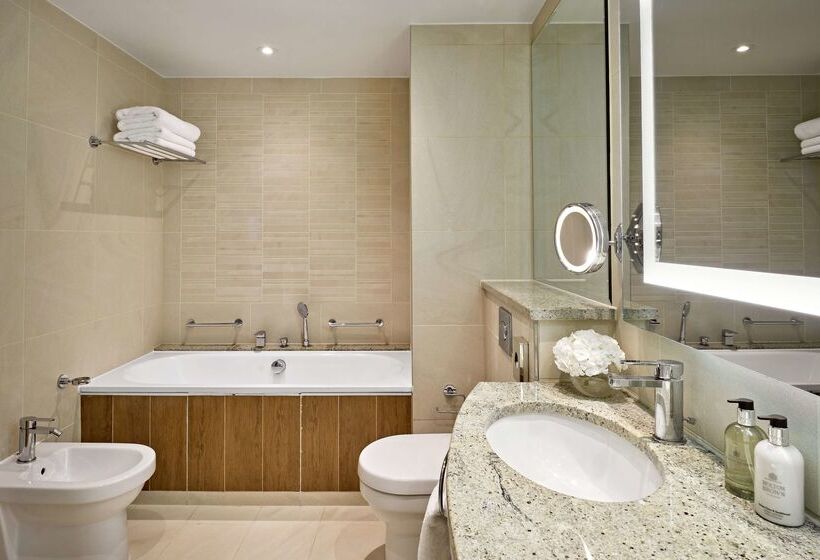 酒店 London Hilton On Park Lane