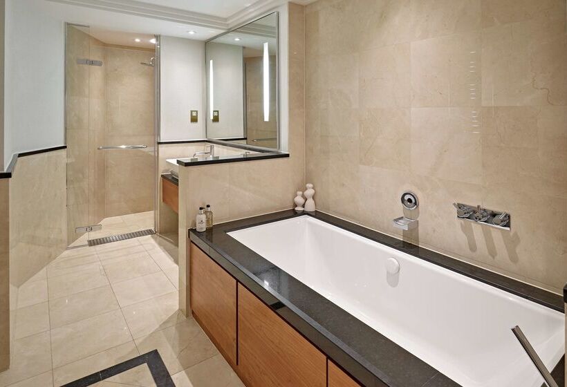 酒店 London Hilton On Park Lane