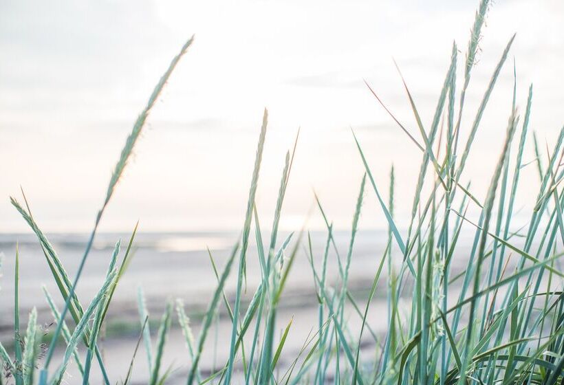 בית מלון כפרי Marine Troon