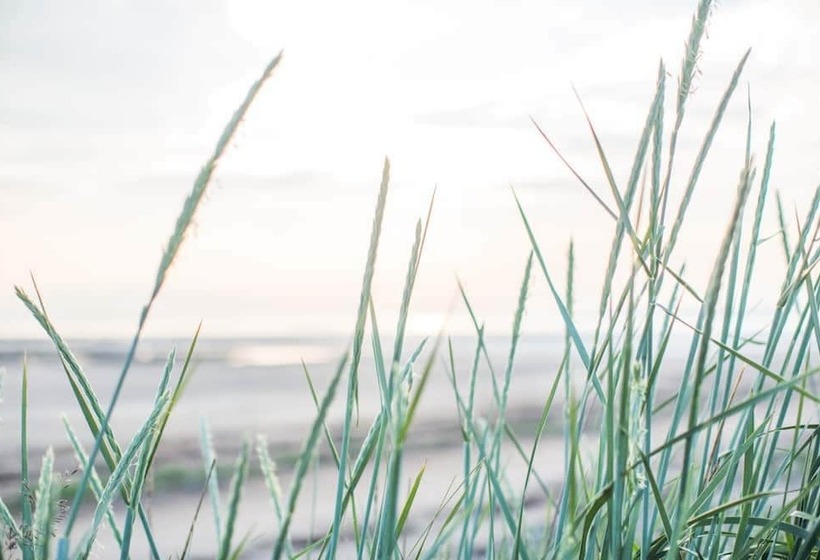 בית מלון כפרי Marine Troon