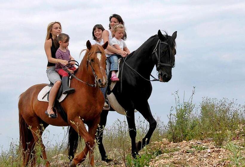 هتل Mercure Exeter Southgate