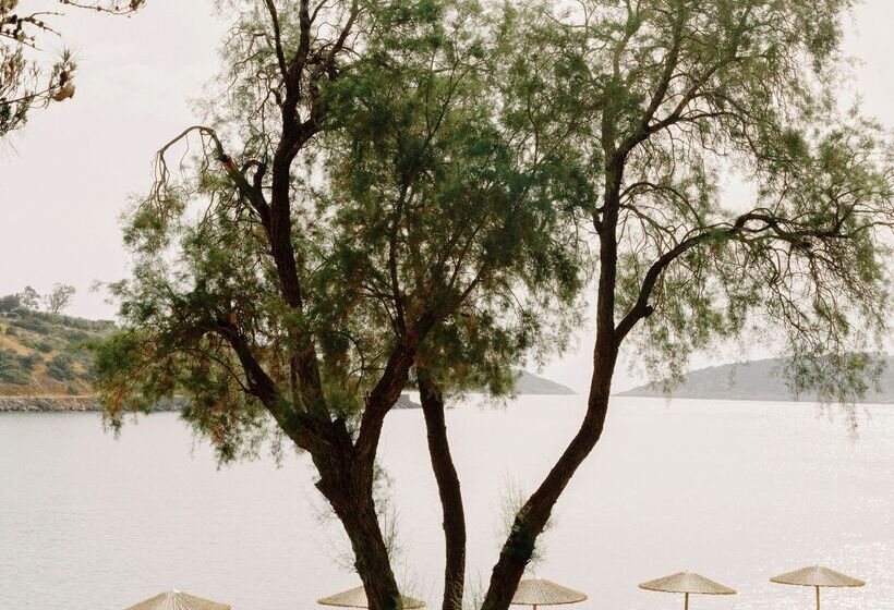Minos Beach Art Hotel, A Member Of Design Hotels