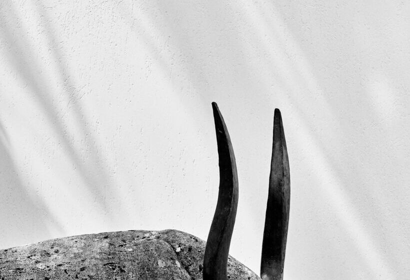 Minos Beach Art Hotel, A Member Of Design Hotels