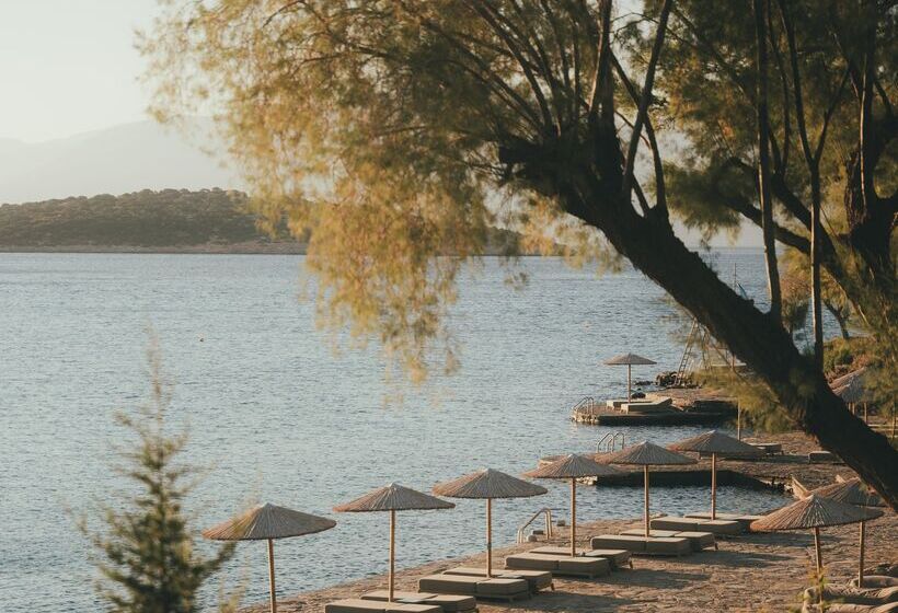 Minos Beach Art Hotel, A Member Of Design Hotels