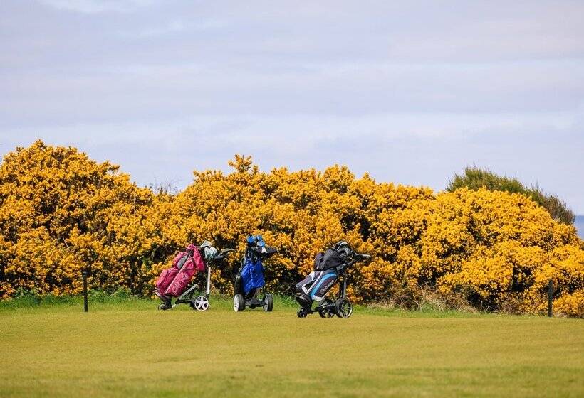 ホテル Muthu Newton