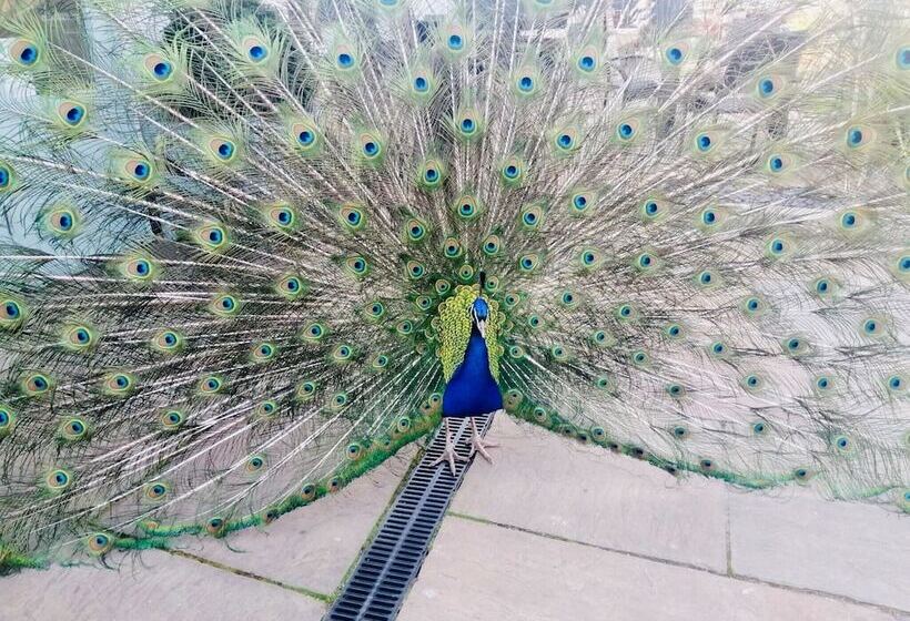 호텔 Potters Heron