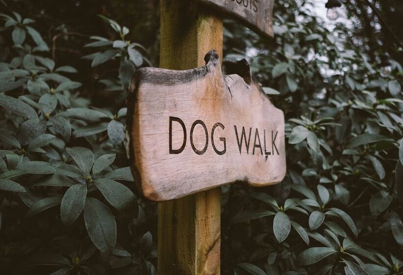 فندق Saorsa 1875   Plant Based