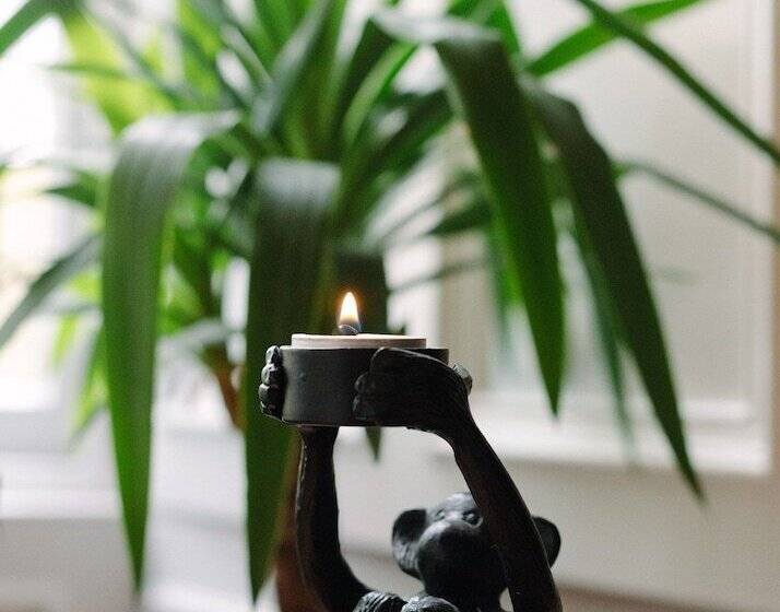 فندق Saorsa 1875   Plant Based