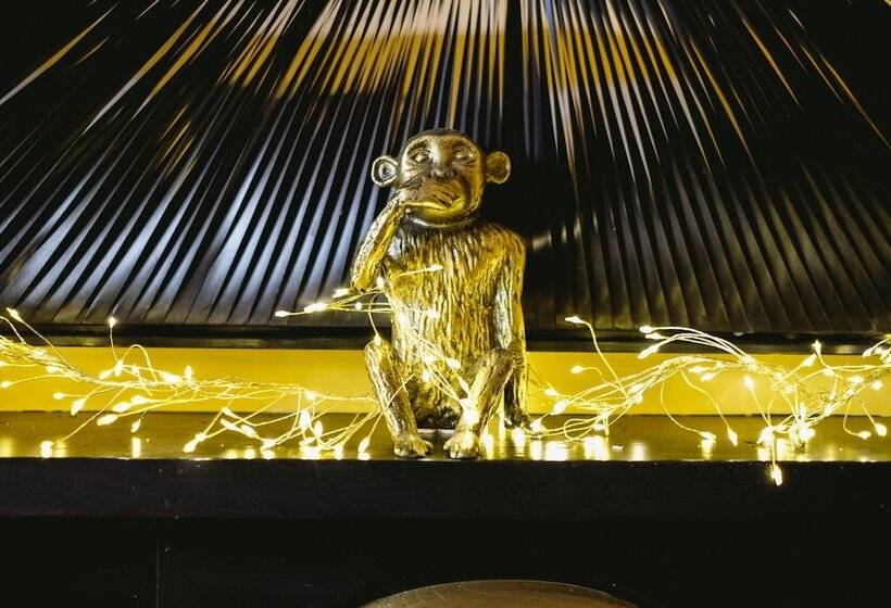 فندق Saorsa 1875   Plant Based