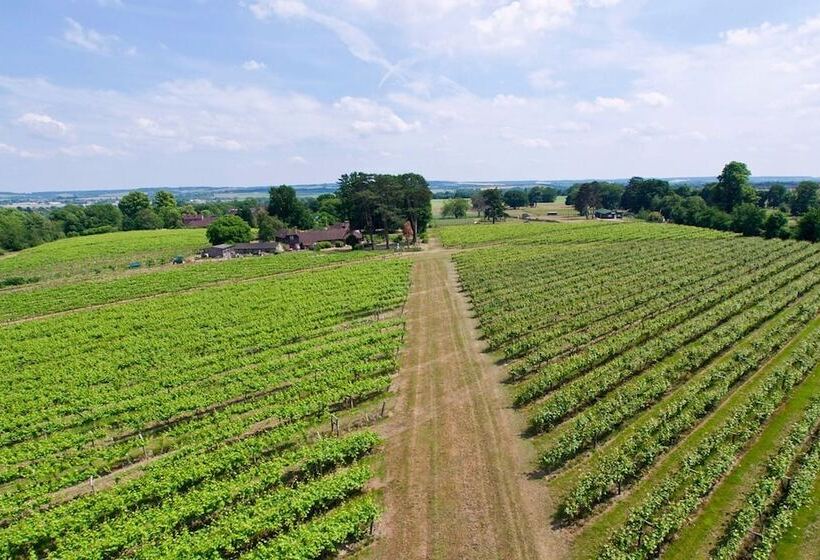 酒店 Shillingford Bridge