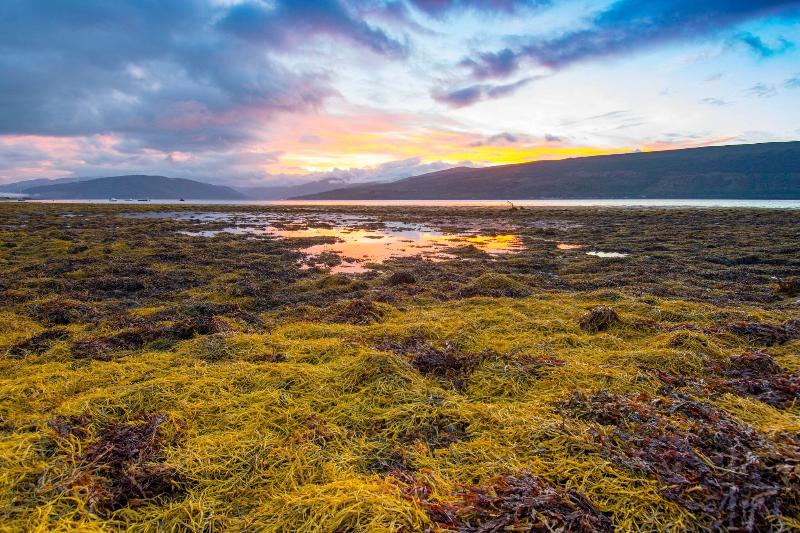 בית מלון כפרי The Creggans Inn