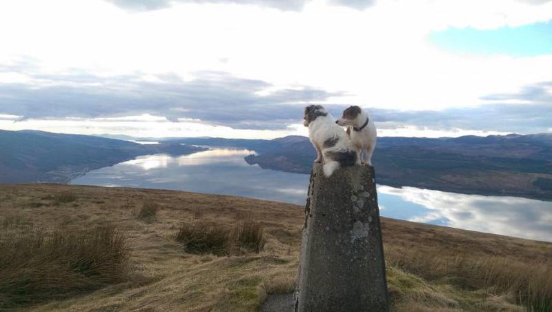 בית מלון כפרי The Creggans Inn