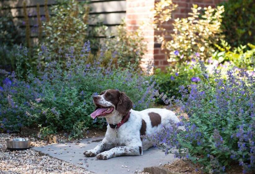 בית מלון כפרי The Eastbury & Spa