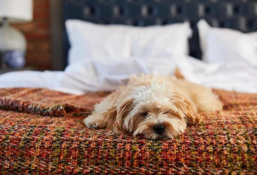 فندق The Great House, Sonning, Berkshire