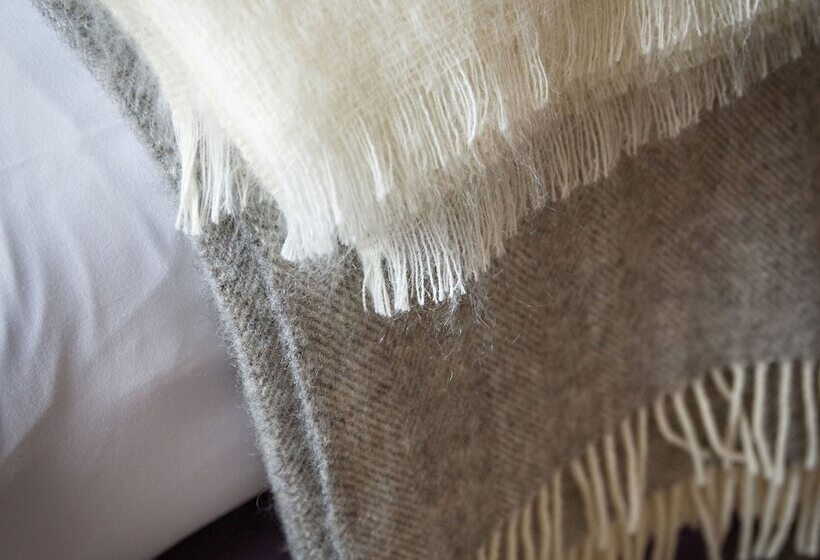 Отель The Maids Head