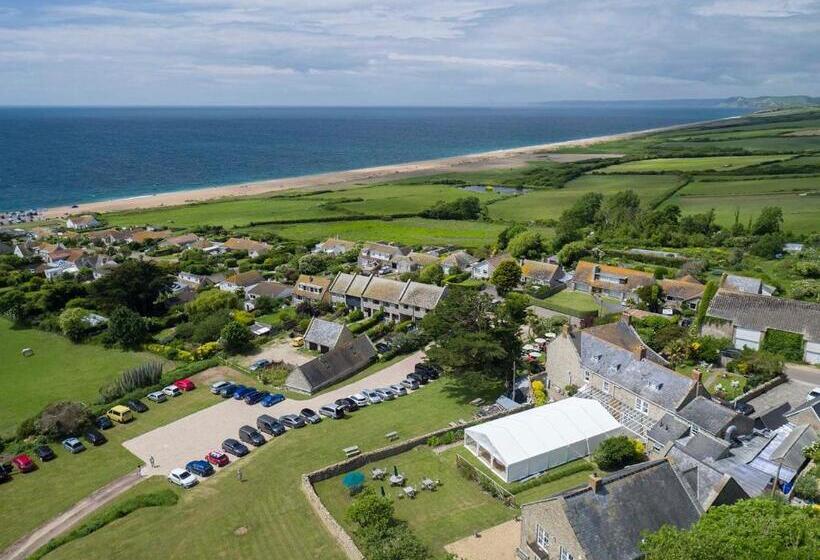 酒店 The Manor House