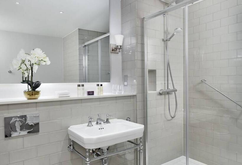 فندق The Midland